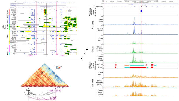 Multi-omics Integration